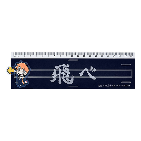 Haikyu!! Banner Ruler Shoyo Hinata